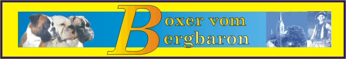 bergbaron