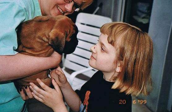 Dernbacherhof-Boxer