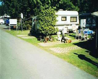 Dernbacherhof-Boxer
