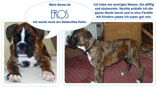 Eros sucht