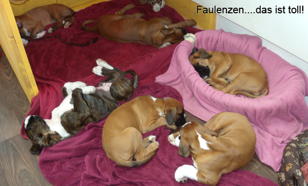 Faulenzen