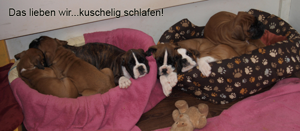 Kuscheln und Schlafen